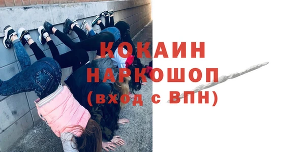 гидропоника Бородино