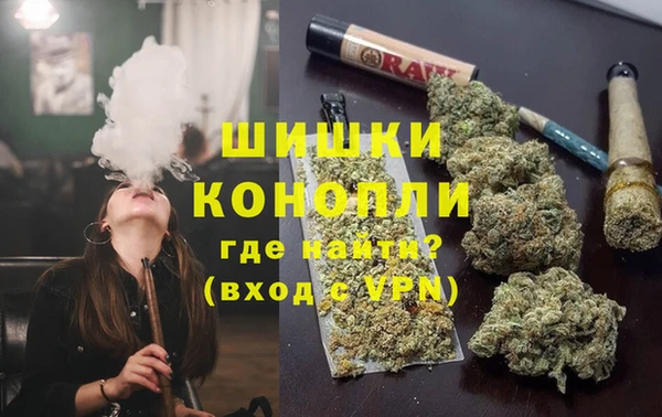 гидропоника Бородино