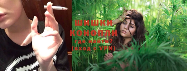 гидропоника Бородино